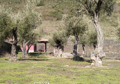 Casa Vacanze Appartamento Terrazza Sul Mare